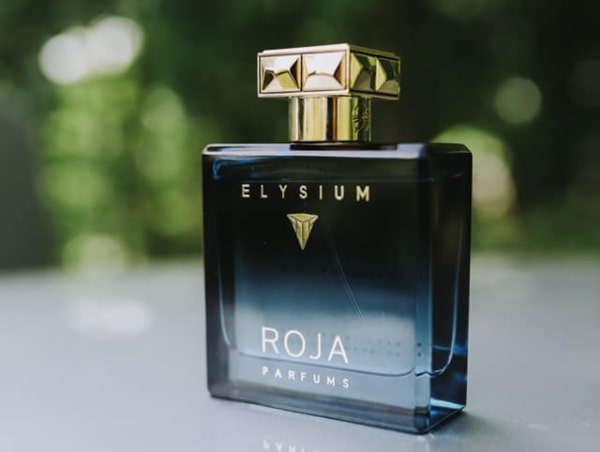 Roja elysium cologne online vs parfum