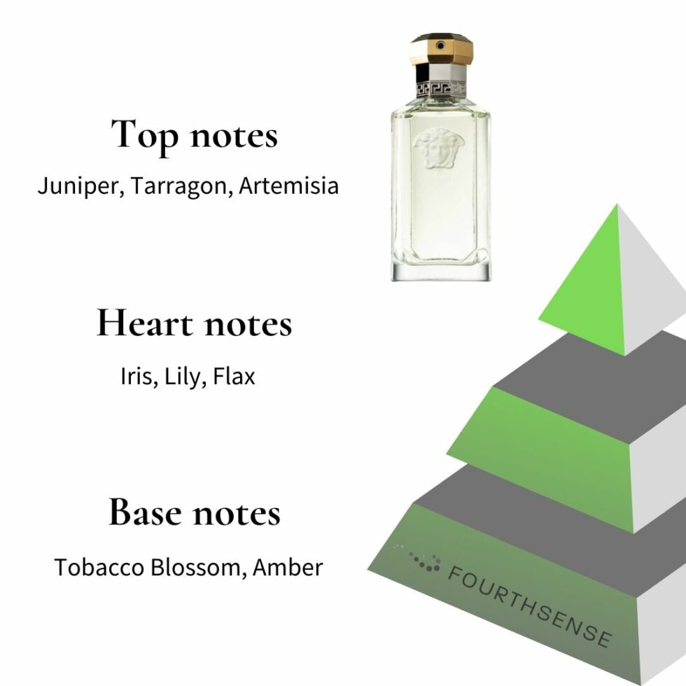 Versace The Dreamer Full Review In 2023 Fourth Sense