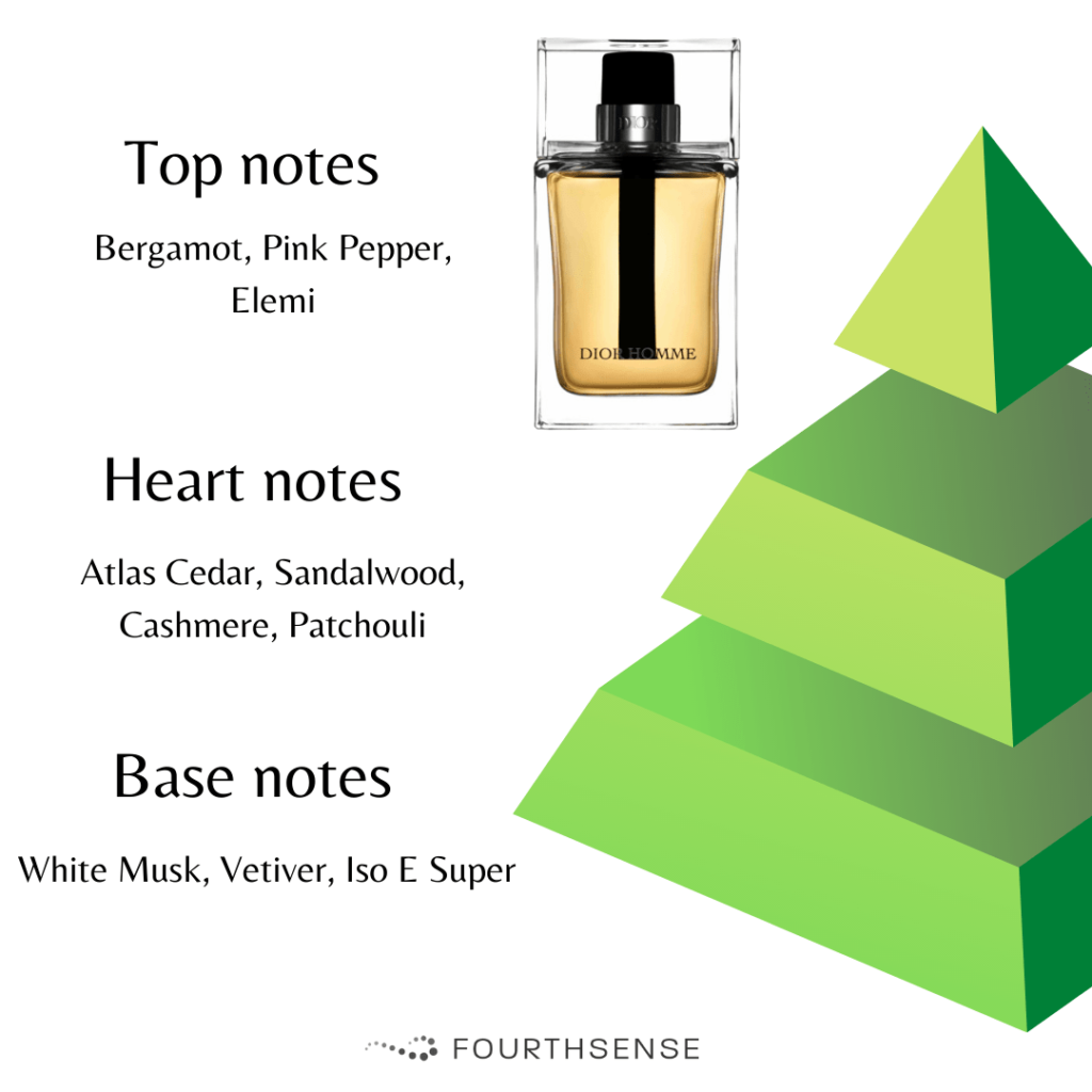 dior homme notes pyramid