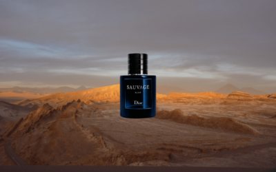 Dior Sauvage Elixir – Best Or Worst Sauvage? 2023 Review