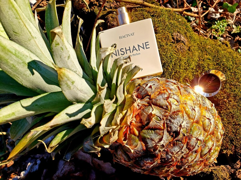 nishane hacivat with pineapple on moss