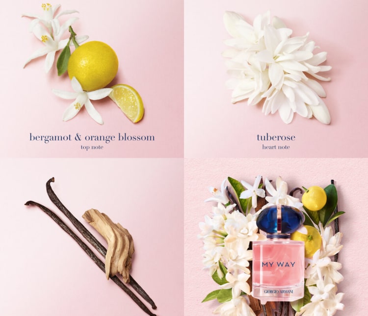 My way notes perfume new arrivals